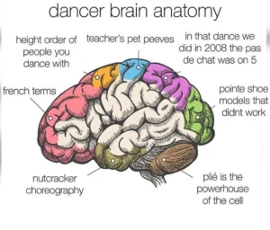 Dancer brain