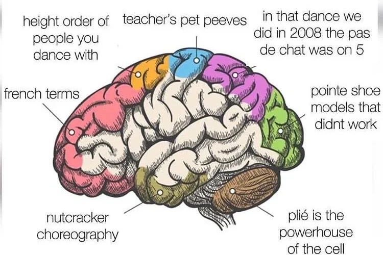 Dancer brain